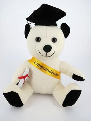 Calico Graduation Bear 20cm 6piece