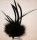 Biot & Marabou Feather - Black