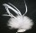 Biot & Marabou Feather - White