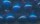 Round wooden beads - blue