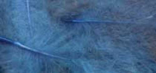 Duck Feathers - Blue