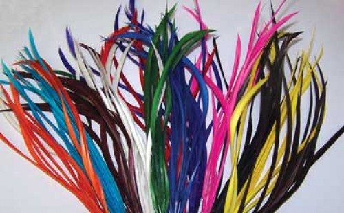 Biot Feathers - All colours