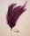 Cock Hackle Feathers - Purple